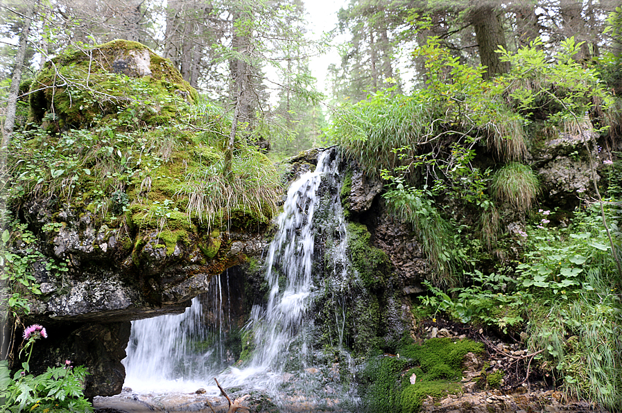 foto Cascate alte in Vallesinella